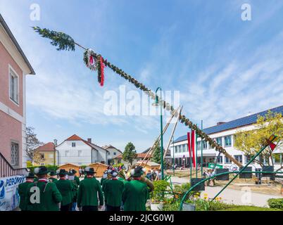 Strengberg, young men put up the maypole in Mostviertel region, Lower Austria, Austria Stock Photo