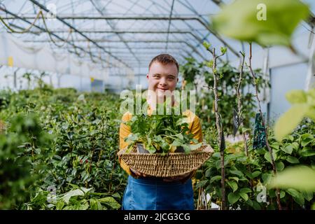 Young man with Down syndrome working in garden centre, carrying basket with plants. Stock Photo