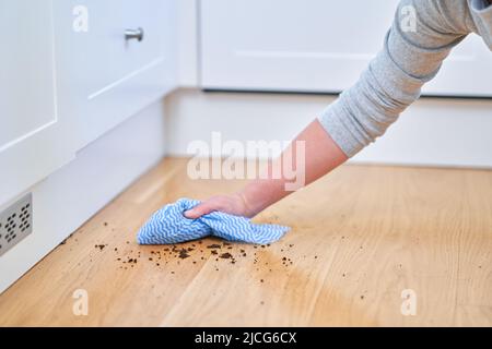 Young woman cleaning dirt in the kitchen Stock Photo