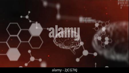 Image of data processing over digital brains on red background Stock Photo