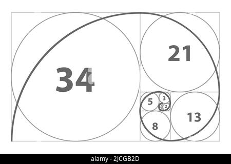 Fibonacci sequence of circles. Golden ratio geometric concept. Vector illustration.  Stock Vector
