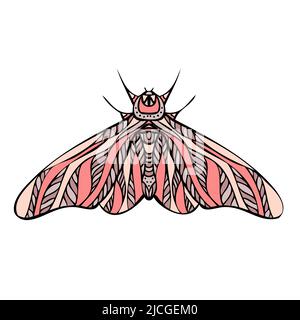Night butterfly, moth. Hand drawn vector illustration Stock Vector