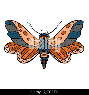 Night butterfly, moth. Hand drawn vector illustration Stock Vector