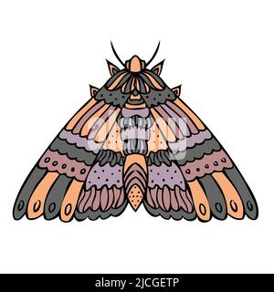 Night butterfly, moth. Hand drawn vector illustration Stock Vector