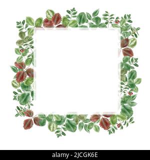 Square frame with leaves decoration watercolor illustration. High quality photo Stock Photo