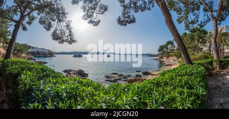 Cala Fornells and Platja Palmira beach in Peguera, Mediterranean Sea, Balearic Islands, Spain, Europe Stock Photo