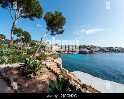 Cala Fornells and Platja Palmira beach in Peguera, Mediterranean Sea, Balearic Islands, Spain, Europe Stock Photo