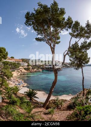 Cala Fornells and Platja Palmira beach in Peguera, Mediterranean Sea, Balearic Islands, Spain, Europe Stock Photo