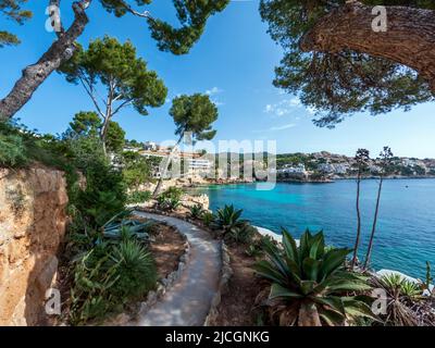 Cala Fornells and Platja Palmira beach in Peguera, Mediterranean Sea, Balearic Islands, Spain, Europe Stock Photo