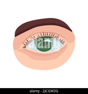 Human eye flat icon. Colored filled vector element from body parts collection. Creative Human eye icon for web design project, templates and infograph Stock Vector