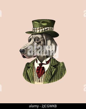 German Shorthaired Pointer. Dog dressed up in suit and bowler hat. Hunting breed. Fashion Animal character in clothes. Hand drawn sketch. Vector Stock Vector