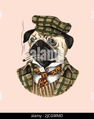 Pug Dog dog smokes a cigar in a tweed suit. Fashion Animal character in clothes. Hand drawn sketch. Vector engraved illustration for label, logo and T Stock Vector
