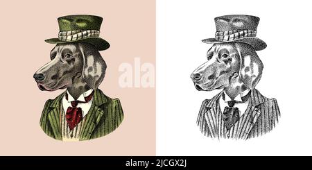 German Shorthaired Pointer. Dog dressed up in suit and bowler hat. Hunting breed. Fashion Animal character in clothes. Hand drawn sketch. Vector Stock Vector