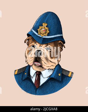 English Bulldog. Dog dressed up in police suit. Fashion Animal character in clothes. Hand drawn sketch. Vector engraved illustration for label, logo Stock Vector