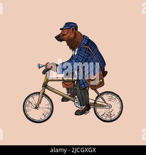 Brown bear rides a bike. Antique gentleman in a cap and coat. Victorian Ancient Retro Clothing. A man on a cycle. Vintage engraving style. Hand drawn Stock Vector