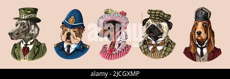 Pug Dog dog smokes cigar in suit. English Bulldog policeman. Herding and Bloodhound and German Shorthaired Pointer and Dachshund. Fashion Animal Stock Vector