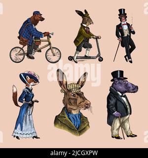 Brown bear rides a bike. Fox and monkey, hippopotamus and Hare or rabbit on a scooter. Antique gentleman in a cap and coat. Victorian man. Vintage Stock Vector