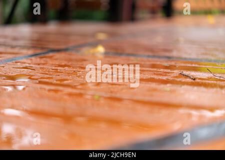 close up the Wet wood floor with falled leaves at outdoor field after the rain comes. Stock Photo