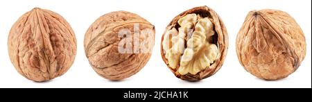 Set of walnuts isolated on white background. Stock Photo