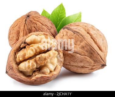 Walnuts, walnut kernel and green leaves isolated on white background. Stock Photo