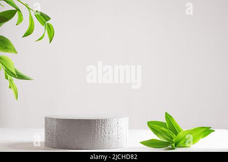Minimal modern product display on light beige background, copy space. Concrete empty podium and green leaves. Concept scene stage showcase for cosmeti Stock Photo
