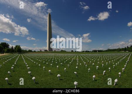 On 6 June 2022, the Giffords group installed 45,000 bouquets of flowers on the National Mall to commemorate lives lost to gun violence in the U.S.