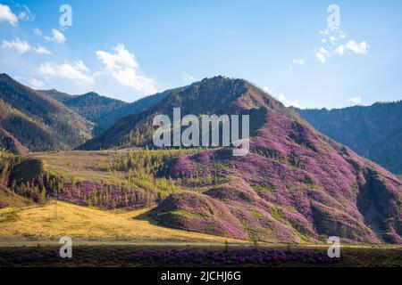 Chuysky tract. View from Mountain road with beautiful views in Altai, Russia. High quality photo Stock Photo