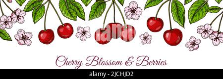 Colorful horizontal cherry design. Vector illustration in colored sketch style Stock Vector