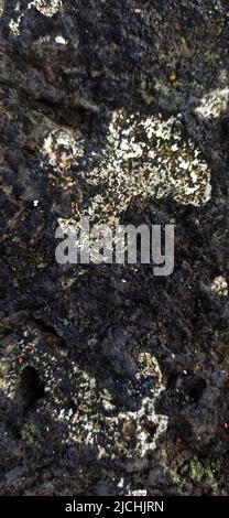 Texture of a stone with moss on it from an island in the atlantic ocean Stock Photo