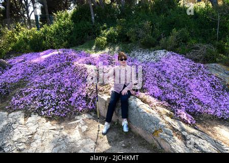 Tourist resting next to wild flora Drosanthemum floribundum or Ice Plant or Dew Flower growing wild along coastal path near Tamariu in Spain Stock Photo
