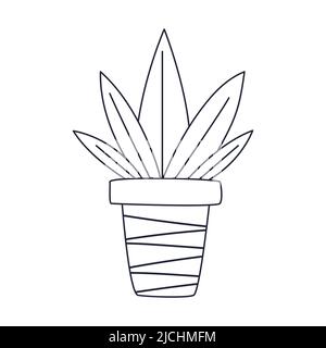 A simple house plant in a pot. Outline doodle. Black and white vector illustration isolated on white background Stock Vector