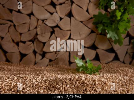 Green oak leaves on heap of fuel pellets scattered near stack of chopped woodpile in sunlight Stock Photo