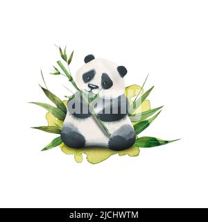 Cute Little Panda Munching On Bamboo Shoot - Cute Panda - Posters and Art  Prints