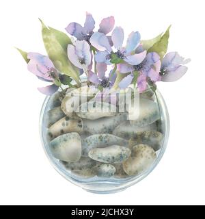 Delicate and purple, abstract flowers in a glass pot filled with pebbles. Watercolor illustration. Composition for decor and home interior design, pos Stock Photo