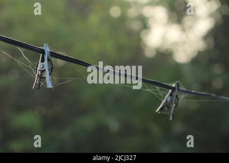group of rusted old stainless steel cloth clips with spiderweb hang on the rope without clothes Stock Photo