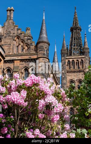 Gilbert Scott Building at the University of Glasgow. Victorian building built in the style of Gothic Revival. Photographed against clear blue sky. Stock Photo