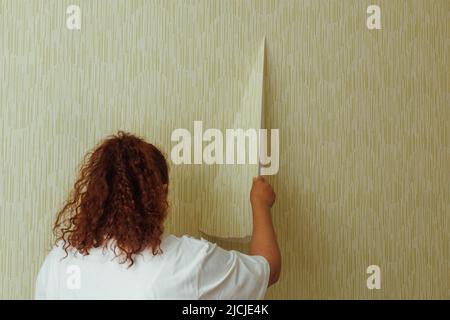 Back view of young fat woman wearing white T-shirt, beige trousers, standing at wall, removing old yellow wallpaper. Stock Photo