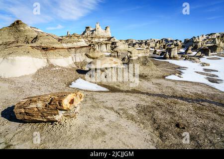 Pieces of petrified wood at Bisti De-Na-Zin Wilderness area in New Mexico in winter Stock Photo