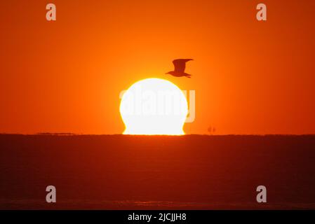 Fascinating sunlight during sunrise on Belmar Beach, New Jersey Stock Photo  - Alamy