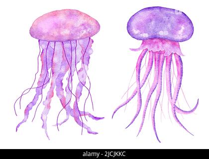 Watercolor illustration of jellyfish in blue turquoise purple colors, ocean sea underwater wildlife animals. Nautical summer beach design, coral reef life nature Stock Photo