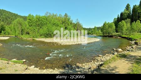 Panoramic shot of a bend in the bed of a small river flowing through a forest on a sunny summer day. Iogach river, Altai, Siberia, Russia. Stock Photo