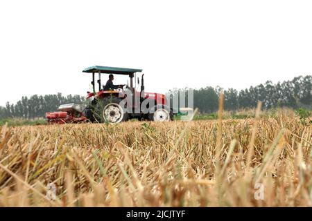 BINZHOU, CHINA - JUNE 13, 2022 - Members drive large machines to plant corn in gaomioli Village, Pangjia Town, Boxing County, Binzhou city, East China Stock Photo