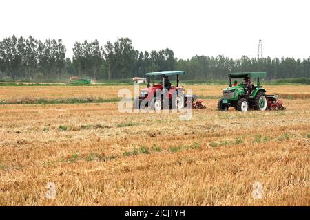 BINZHOU, CHINA - JUNE 13, 2022 - Members drive large machines to plant corn in gaomioli Village, Pangjia Town, Boxing County, Binzhou city, East China Stock Photo