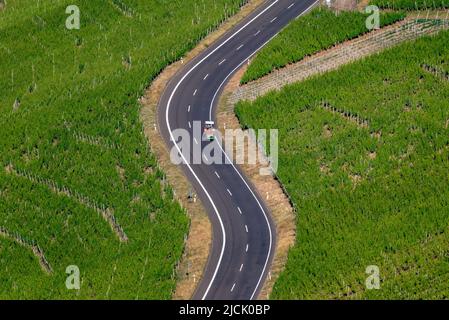 Piesport, Germany. 14th June, 2022. A tractor drives through the vineyards near Piesport. Credit: Harald Tittel/dpa/Alamy Live News Stock Photo