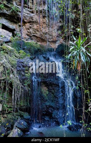 Paradise Lost In Kiambu County Kenya East Africa Stock Photo