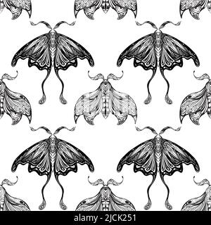 Vector seamless pattern with drawing night butterfly with boho decoration in row. Monochrome texture with moth with tracery ornament. Entomology Stock Vector