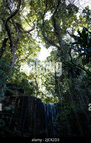 Paradise Lost In Kiambu County Kenya East Africa Stock Photo