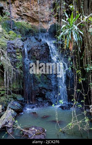 Paradise Lost In Kiambu County Kenya East Africa Stock Photo