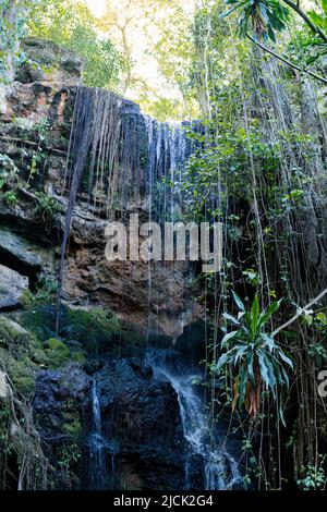 Paradise Lost In Kiambu County Kenya East Africa Stock Photo - Alamy