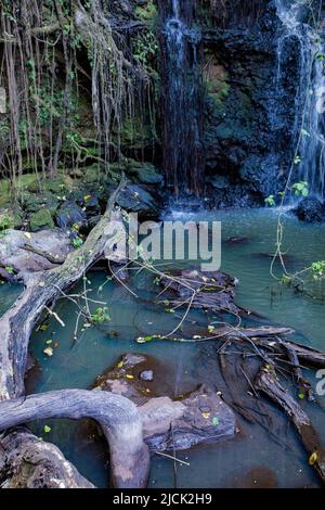 Paradise Lost In Kiambu County Kenya East Africa Stock Photo